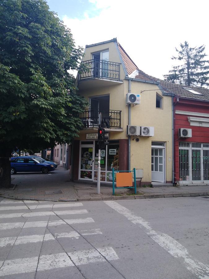 Veliki Park Villa Sabac Exterior photo